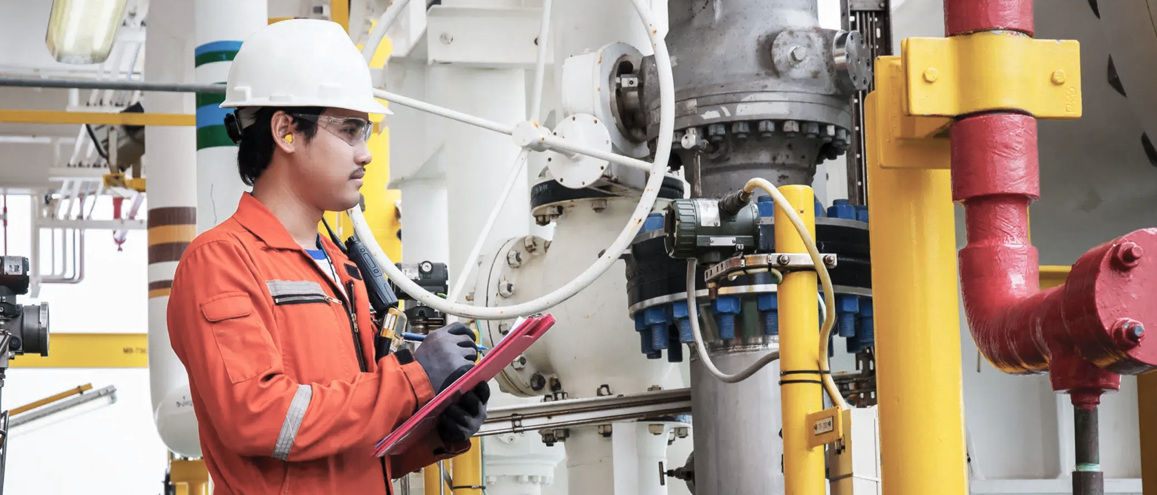 SIRE inspection services illustration